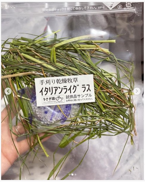 うさぎ畑,ユーザーフォト,Instagram