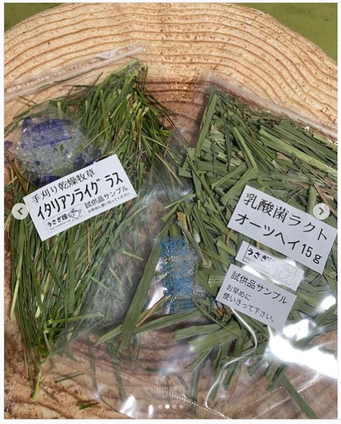 うさぎ畑,ユーザーフォト,Instagram