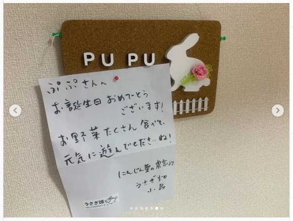 うさぎ畑,ユーザーフォト,Instagram
